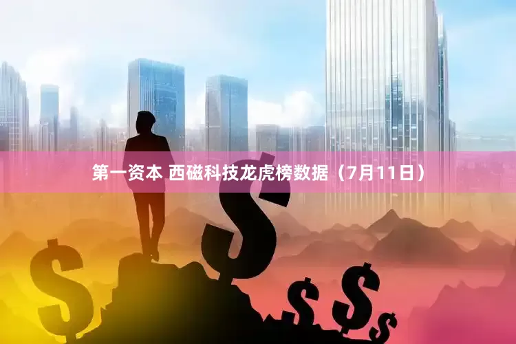 第一资本 西磁科技龙虎榜数据（7月11日）